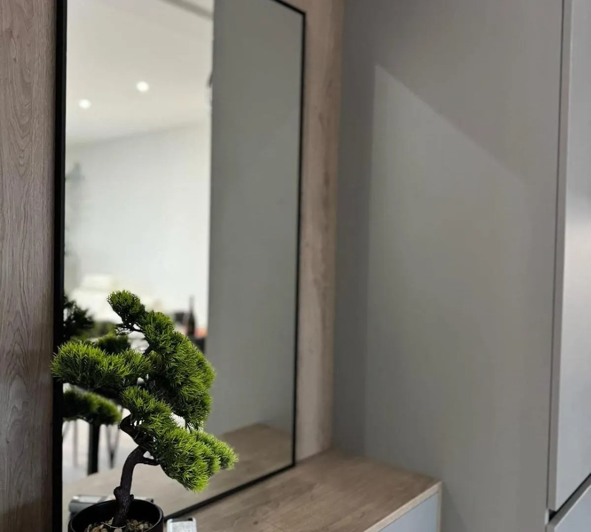 Dolce Risveglio Apartment Venice